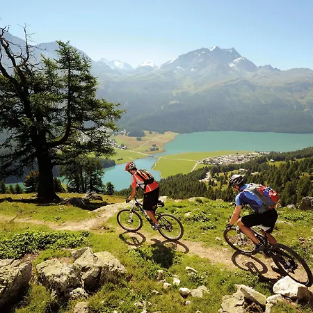 Alpine Rock Surlej