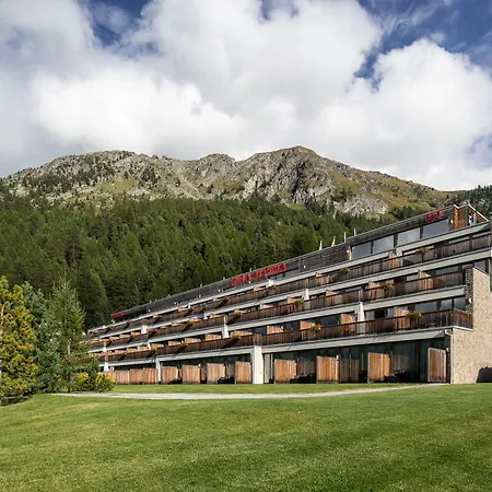 Alpine Rock